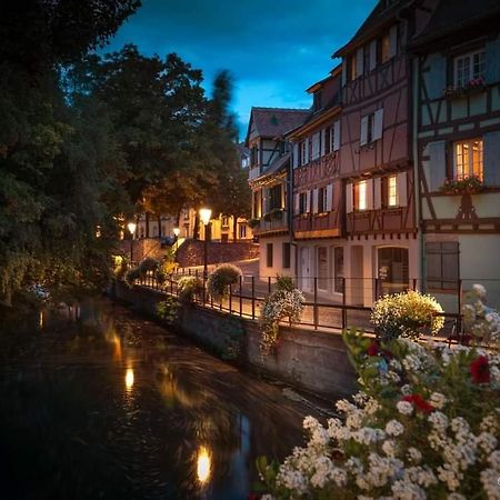 Logement cosy et spacieux, à 2 pas du centre-ville Colmar Exterior foto