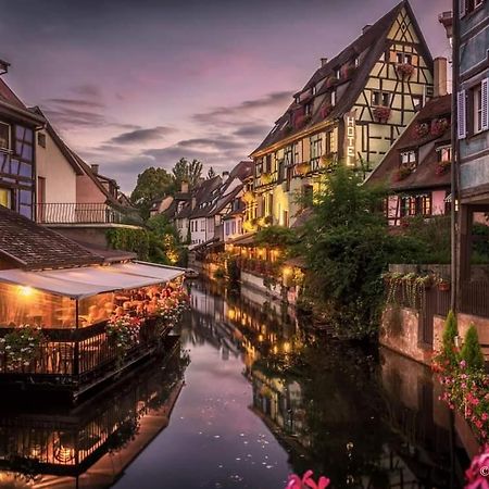 Logement cosy et spacieux, à 2 pas du centre-ville Colmar Exterior foto