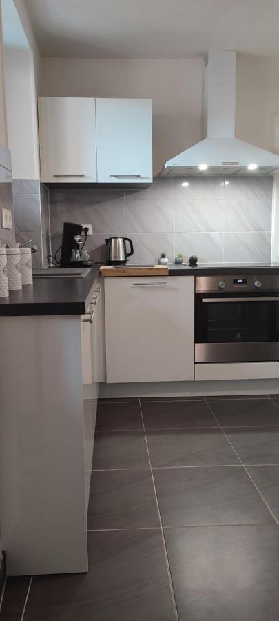 Logement cosy et spacieux, à 2 pas du centre-ville Colmar Exterior foto