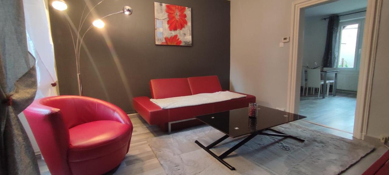 Logement cosy et spacieux, à 2 pas du centre-ville Colmar Exterior foto